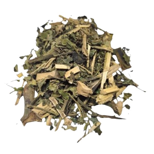 PARIPAROBA PARA CH� - (PIPER UMBELLATUM)