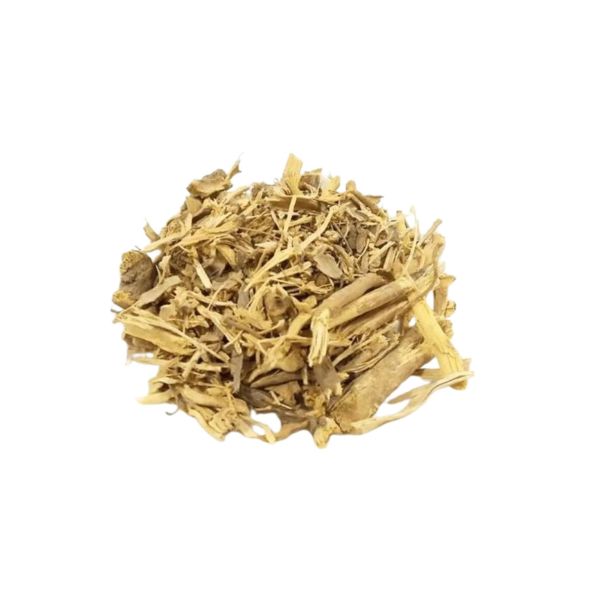 URTIGA RASURADO PARA CH� - (U. URENS)