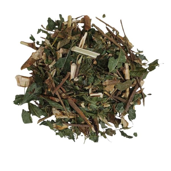 PANAC�IA PARA CH� - (SOLANUM CERNUUM)