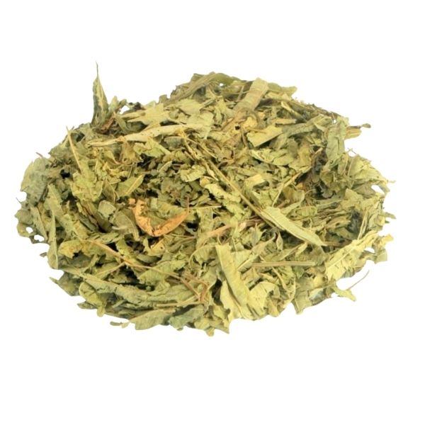 VERBENA FOLHA PARA CH� - (VERBENA HYBRIDA)