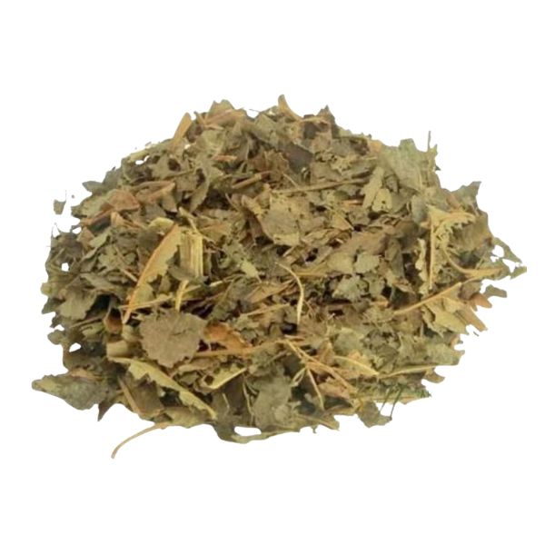 HAMAM�LIS FOLHAS - (HAMAM�LIS VIRGINIANA L.)