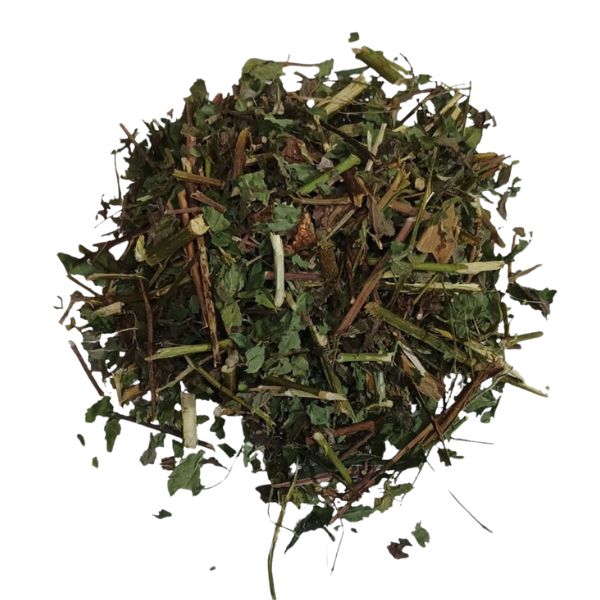 FRAMBOESA PARA CH� - (RUBUS IDAEUS)