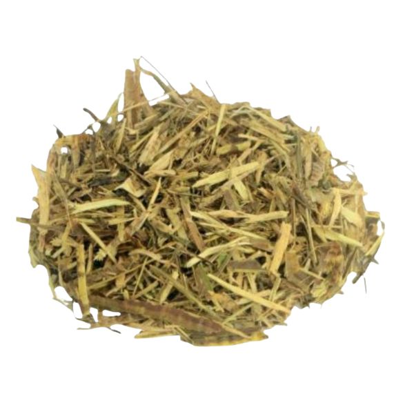 FEDEGOSO PARA CH� - (CASSIA OCCIDENTALLIS)