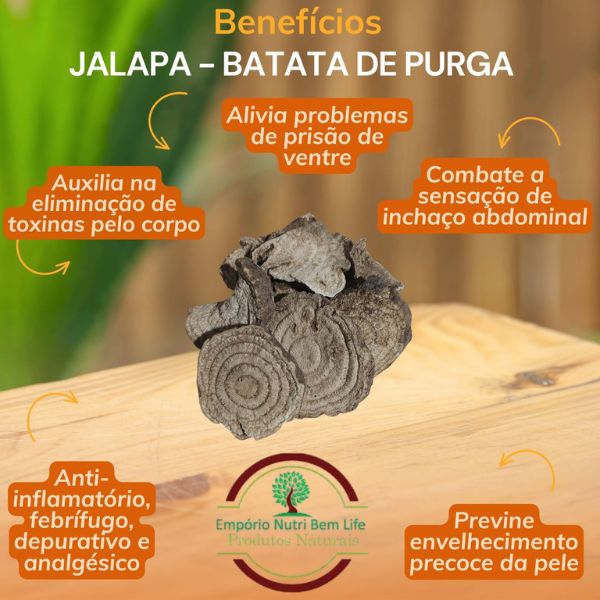 JALAPA PARA CH� - BATATA DE PURGA
