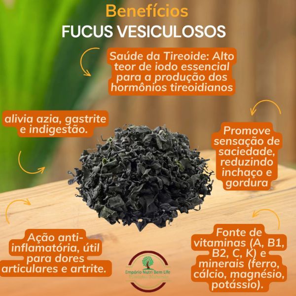 FUCUS VESICULOSOS