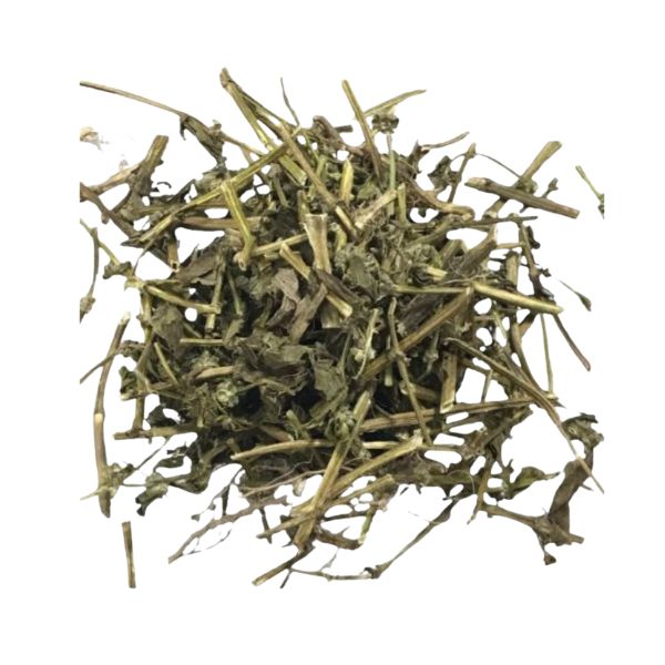 PARIET�RIA PARA CH� - (PARIETARIA OFFICINALIS)