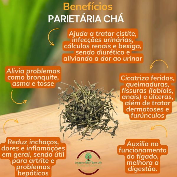 PARIET�RIA PARA CH� - (PARIETARIA OFFICINALIS)