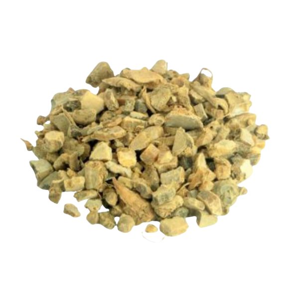 ZEDO�RIA RAIZ PARA CH� - (CURCUMA ZEDOARIA ROSCOE)