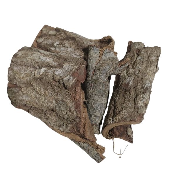 JEQUITIBA CASCA - (CARINIANA BRASILIENSIS)